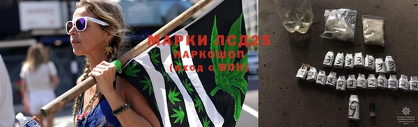 стаф Вязьма