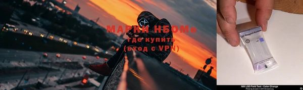 стаф Вязьма
