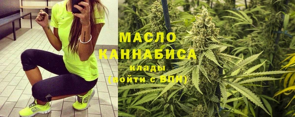 стаф Вязьма