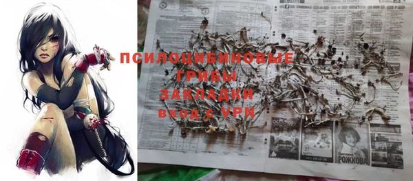 стаф Вязьма