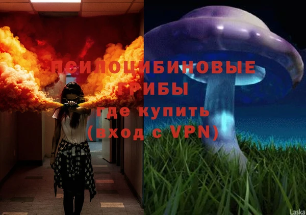 стаф Вязьма