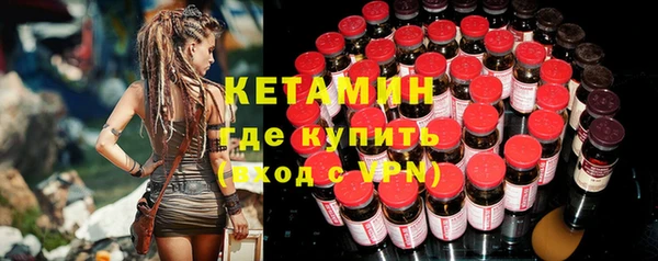 стаф Вязьма