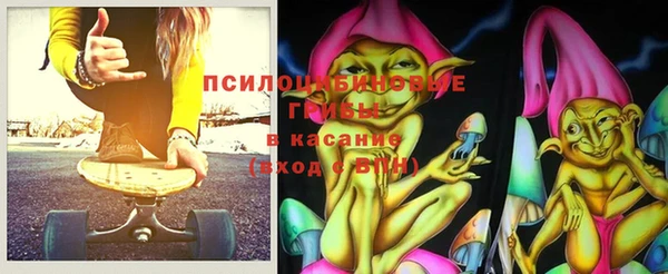стаф Вязьма