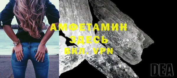 стаф Вязьма