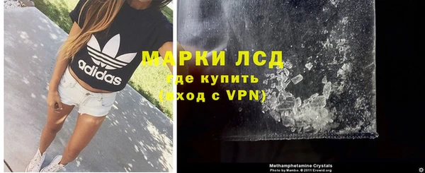 стаф Вязьма