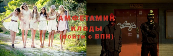 стаф Вязьма