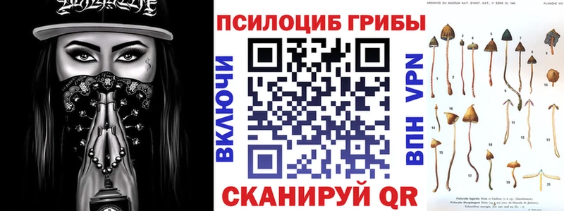 Галлюциногенные грибы Magic Shrooms  Чекалин 